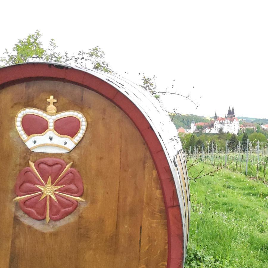 Goldrausch - Glanzvolle Ferienwohnung In Meissen Am Lutherplatz Екстер'єр фото